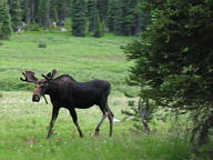 Indian Peaks Wilderness thumbnail