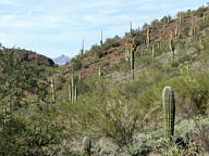 Lake Pleasant thumbnail