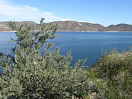 Lake Pleasant thumbnail