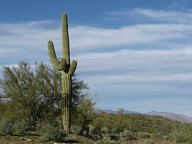 Lake Pleasant thumbnail