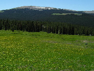 Mecicine Wheel Passage Scenic Byway thumbnail