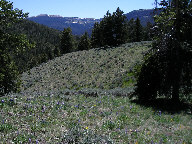 Mecicine Wheel Passage Scenic Byway thumbnail