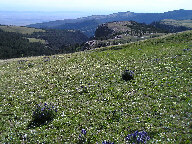 Mecicine Wheel Passage Scenic Byway thumbnail