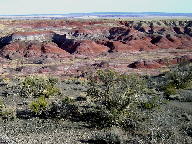 Painted Desert at Petrified Forest National Park thumbnail
