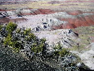 Painted Desert at Petrified Forest National Park thumbnail