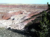 Painted Desert at Petrified Forest National Park thumbnail