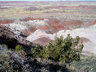 Painted Desert at Petrified Forest National Park thumbnail