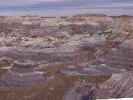Petrified Forest National Park Thumbnail