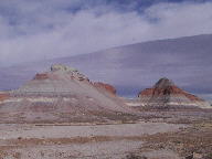 Petrified Forest National Park Thumbnail