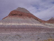 Petrified Forest National Park Thumbnail