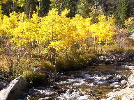 Peak to Peak Scenic Byway thumbnail