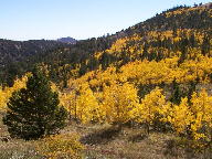 Peak to Peak Scenic Byway thumbnail