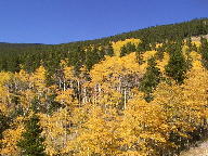 Peak to Peak Scenic Byway thumbnail