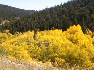Peak to Peak Scenic Byway thumbnail