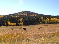 Peak to Peak Scenic Byway thumbnail