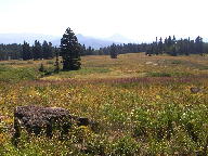 Rabbit Ears Pass thumbnail