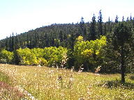 Red Feather Lakes thumbnail