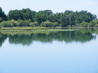 Reflections in water thumbnail