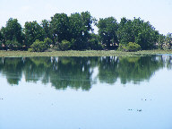 Reflections in water thumbnail
