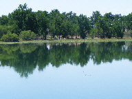 Reflections in water thumbnail