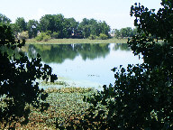 Reflections in water thumbnail