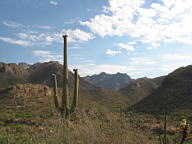 Sabino Canyon