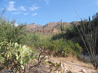 Sabino Canyon