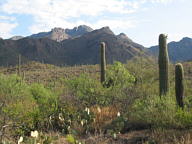 Sabino Canyon thumbnail