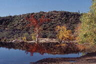 Sabino Canyon cactus and mountains