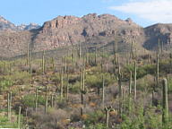 Sabino Canyon thumbnail