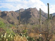 Sabino Canyon thumbnail