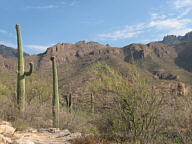Sabino Canyon thumbnail