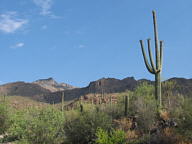 Sabino Canyon thumbnail