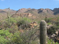 Sabino Canyon thumbnail