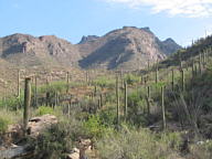 Sabino Canyon thumbnail