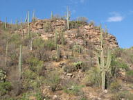 Sabino Canyon thumbnail