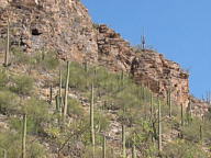 Sabino Canyon thumbnail