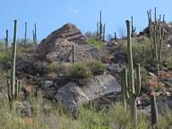 Sabino Canyon thumbnail