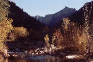 Sabino Canyon cactus and mountains