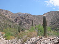 Sky Island Scenic Byway thumbnail