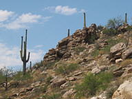 Sky Island Scenic Byway Thumbnail