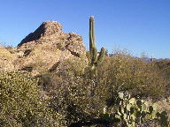 Saguaro National Park photo