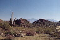 Saguaro National Park photo