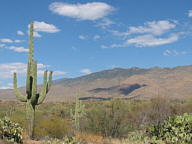 Saguaro National Park Rincon thumbnail