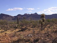 Saguaro National Park Tucson Mountain thumbnail