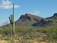 Saguaro National Park Tucson Mountain thumbnail