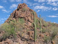 Saguaro National Park Tucson Mountain thumbnail
