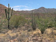 Canyonlands National Park thumbnail