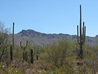Canyonlands National Park thumbnail