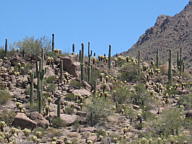 Canyonlands National Park thumbnail